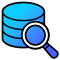 magnifying glass over server icon